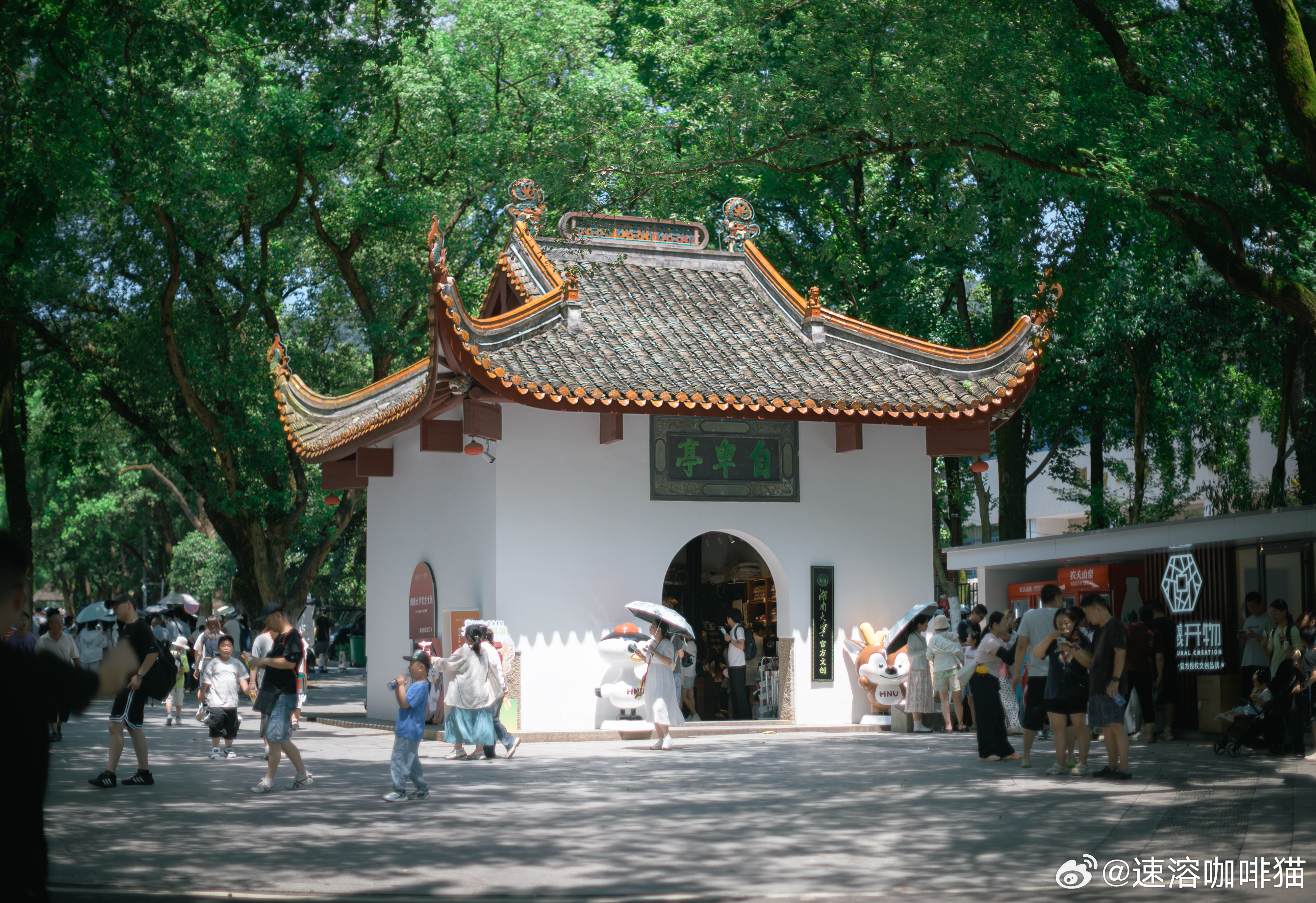 闪现