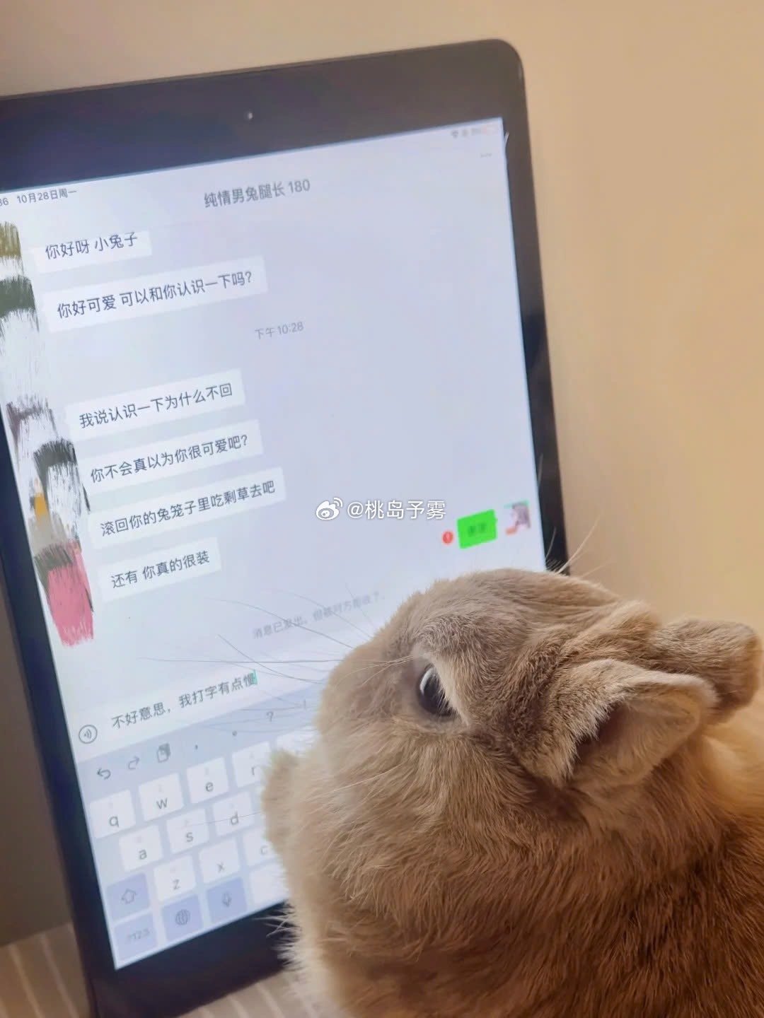 中学的邵群就这么欺负小程秀 