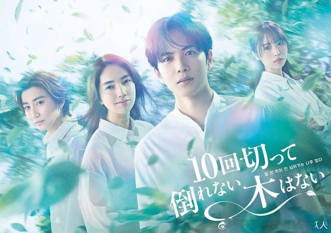 今日新剧上线 日韩合拍剧没有砍十次还不倒的树今日上线。由执导过《轮到你了》的小室