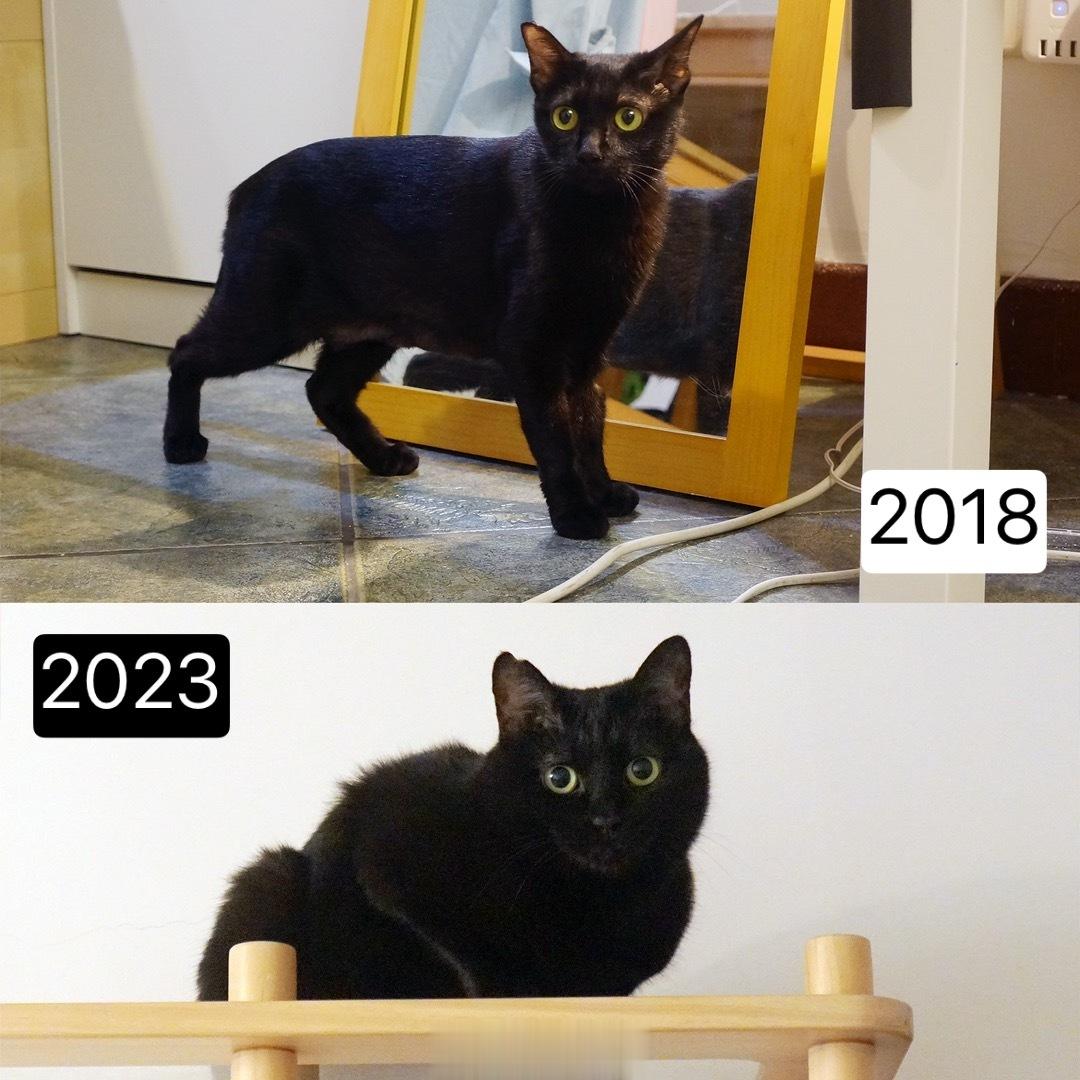 潛力無窮#蝦蝦不可以太可愛# ​​​