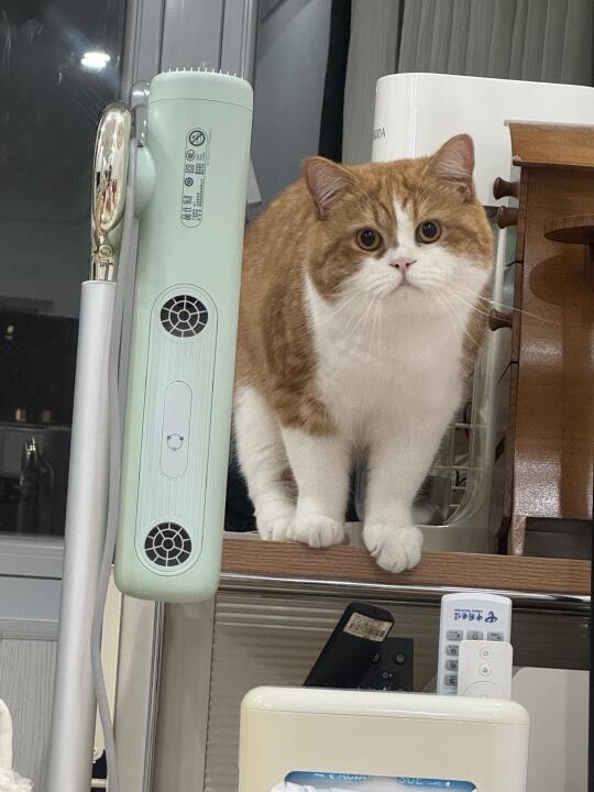 壮汉