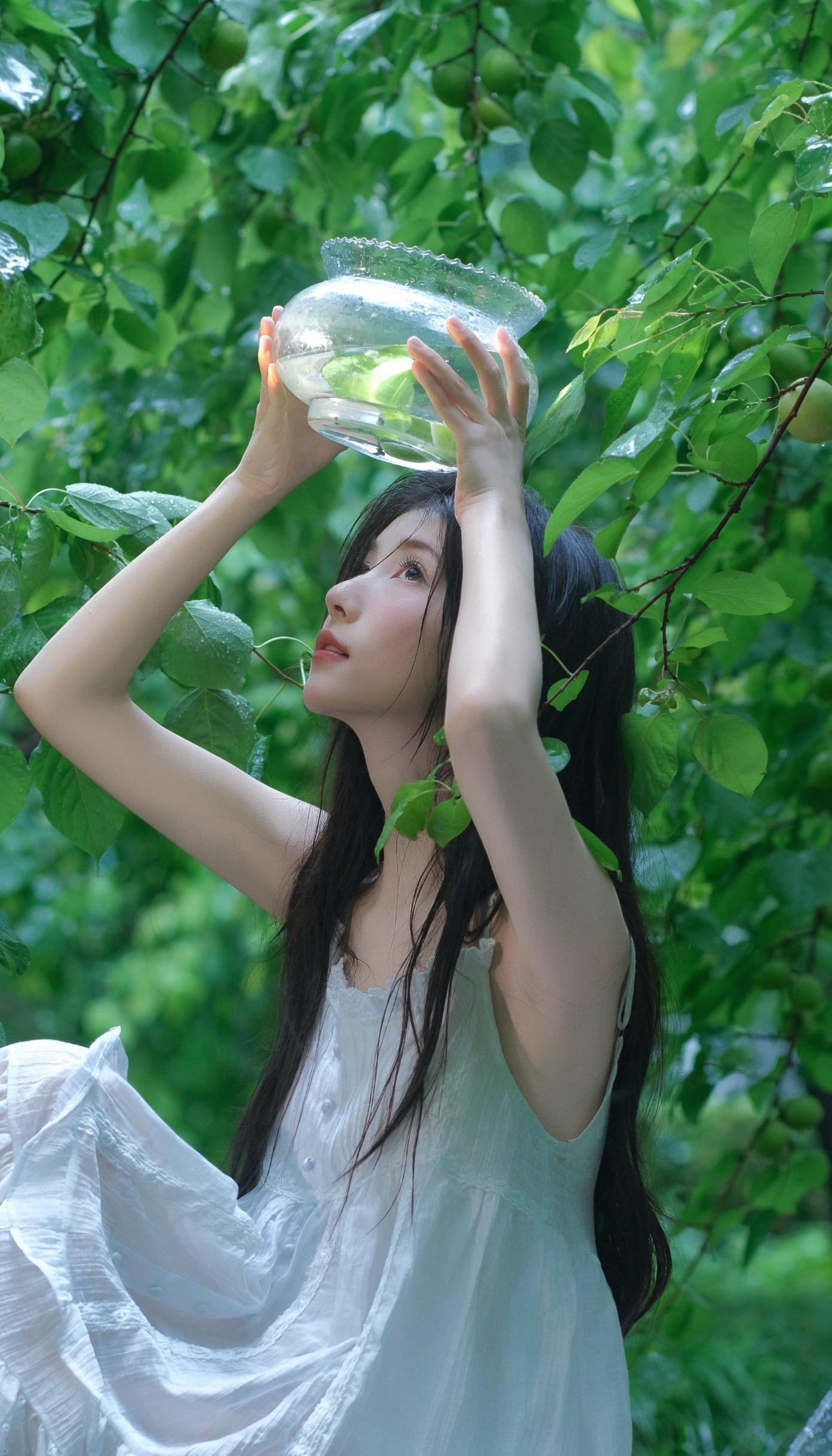 雨天的小森林☘️。