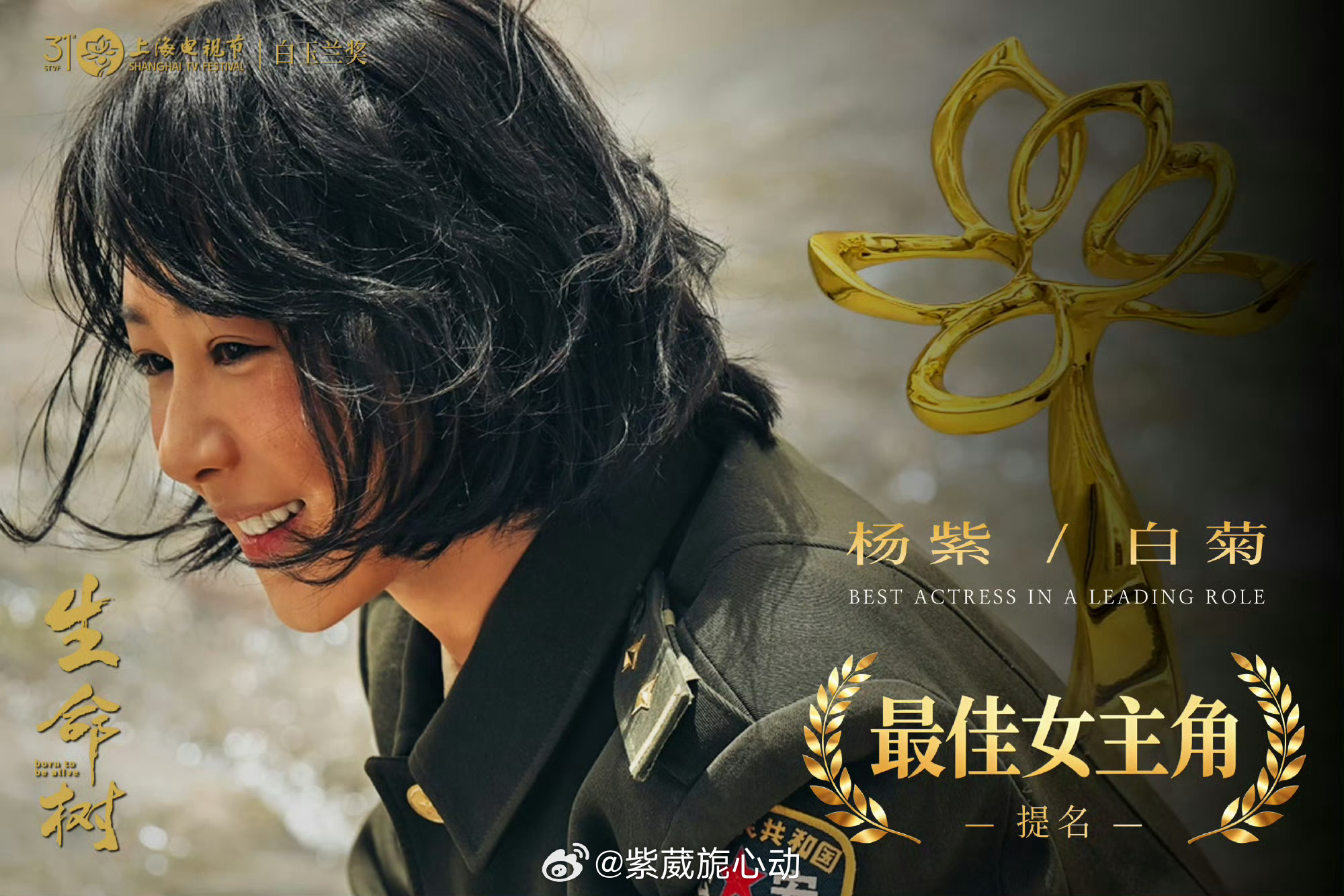 保佑我的小女孩！！四提中白玉兰！她是很努力真诚！！杨紫下一站参加白玉兰杨紫