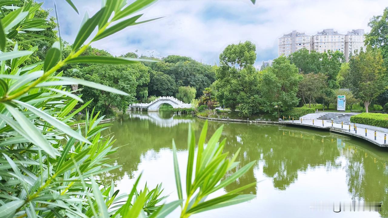 最想对五年级的语文班主任说一句：“对不起，当年我没懂您。”
那时候放学后您把我留