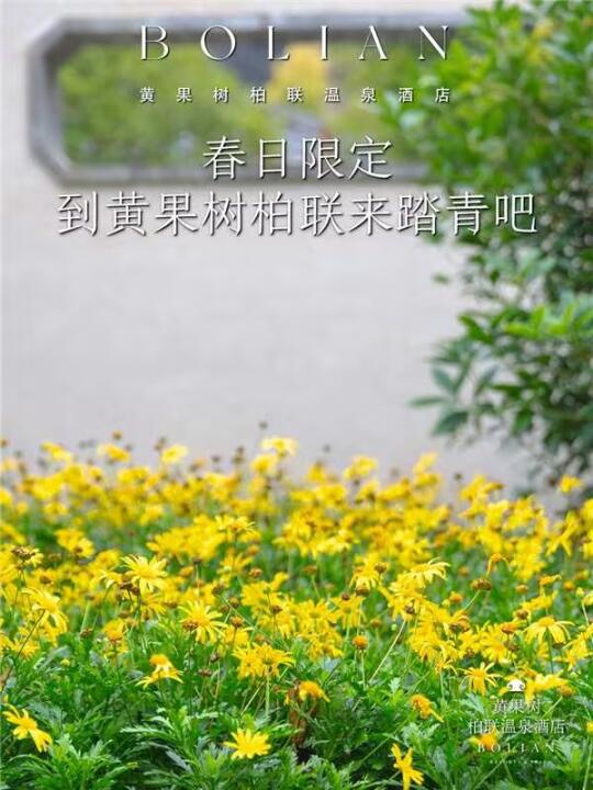 柏联酒店｜春日限定，到柏联来踏青吧🌸