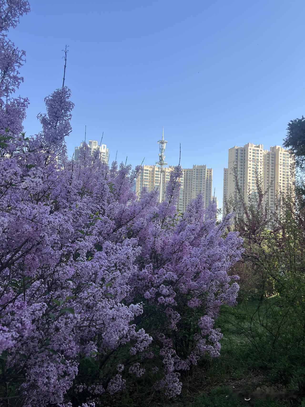 今天是周六，4月18日，兰州最高气温29度 ，最低6度，昼夜温差23度。气温变化