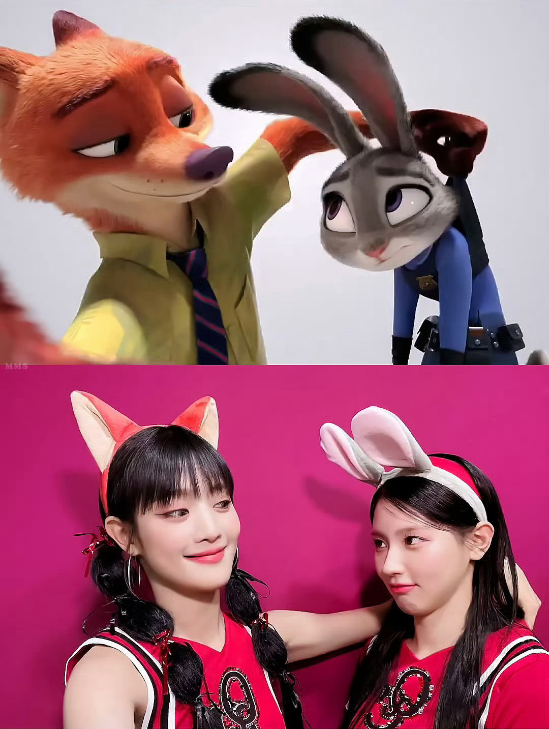 🦊🐰尼克朱迪找到了本人！🐰🦊 ​​​