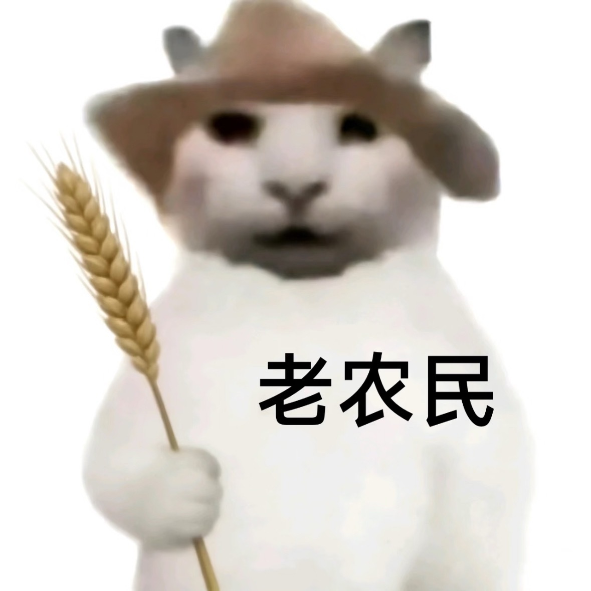 别看我发微博嬉皮笑脸的，实则很蕉绿二周年哇。29号只能算往右边播种了，想要生根发