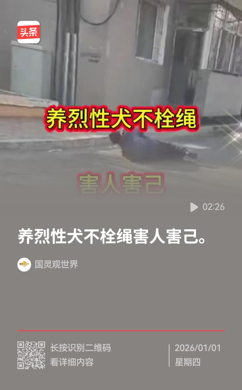 谁说狗就一定温顺不咬人，还不会咬自己的主人？狗终究是狗，一旦发起狂来，连亲人都不