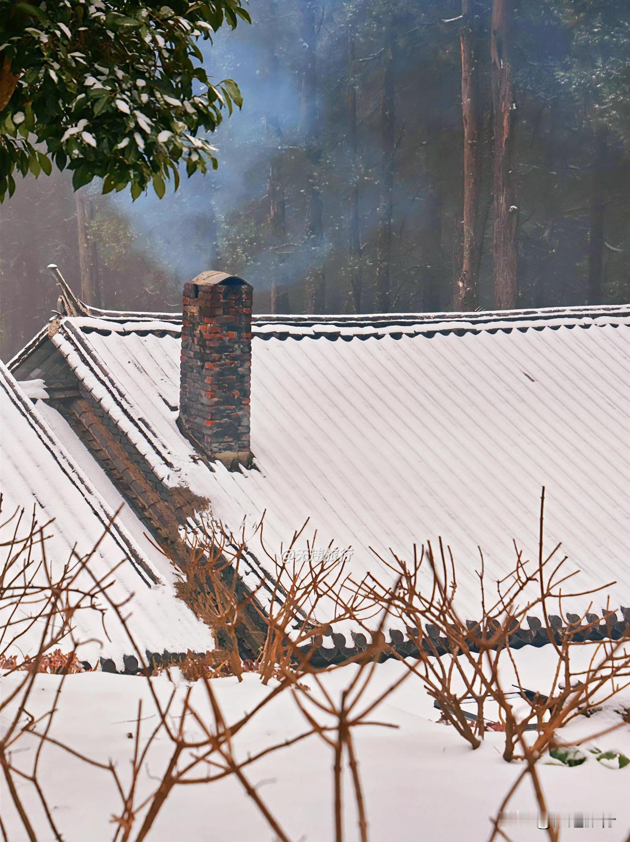 分享一张雪景图 
心暖不惧寒冬