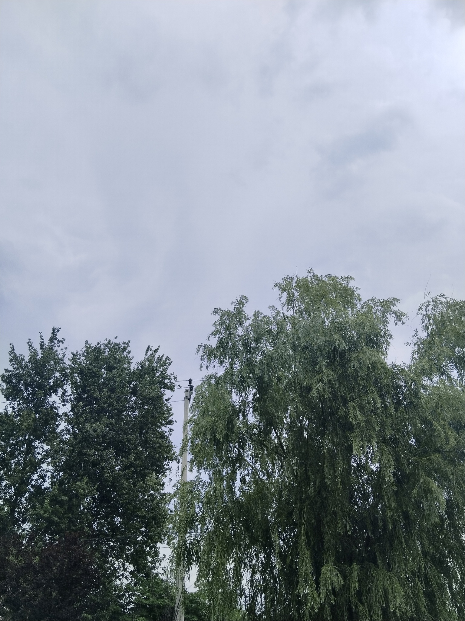 云海翻腾。 夏日。路上。天空爱好收集者 沐月记  绿洲
