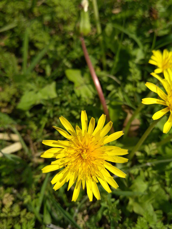 有钱，把事做好！没钱，把人做好！蛇不知道自己有毒，人不知道自己有错。你的好，对别