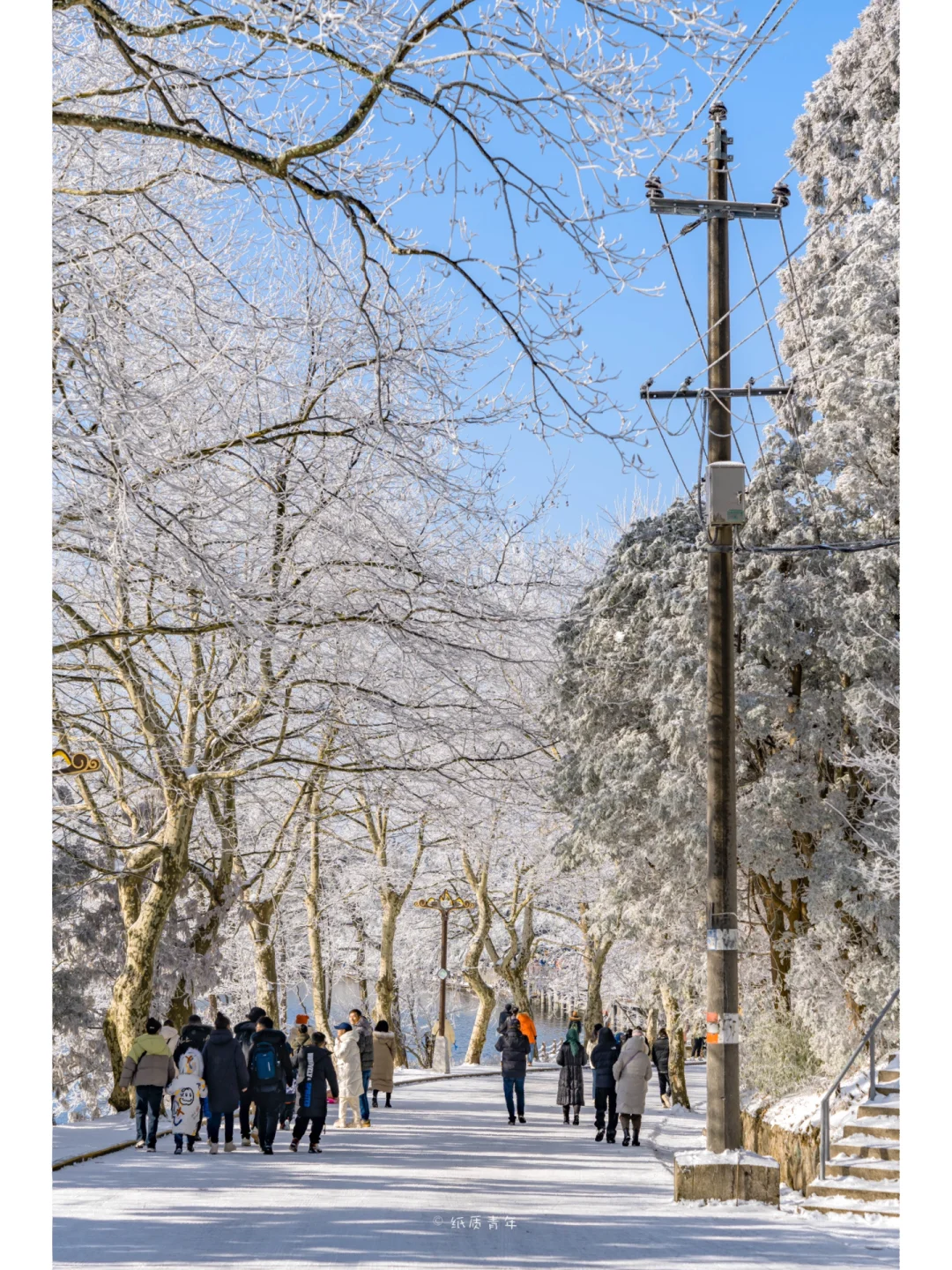 别再去国外了，冬天的庐山雪景值得你来☃️