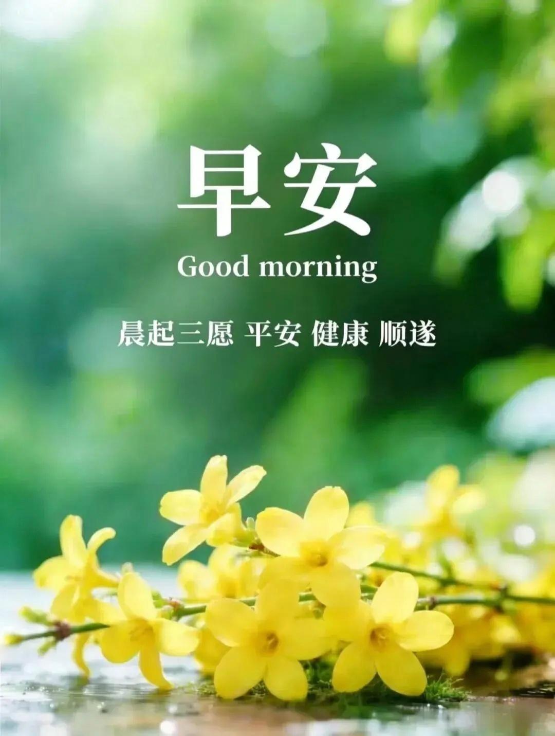我们终其一生，都在学习与生活和解。不必强求事事圆满，不必执着每一步都耀眼，平稳、