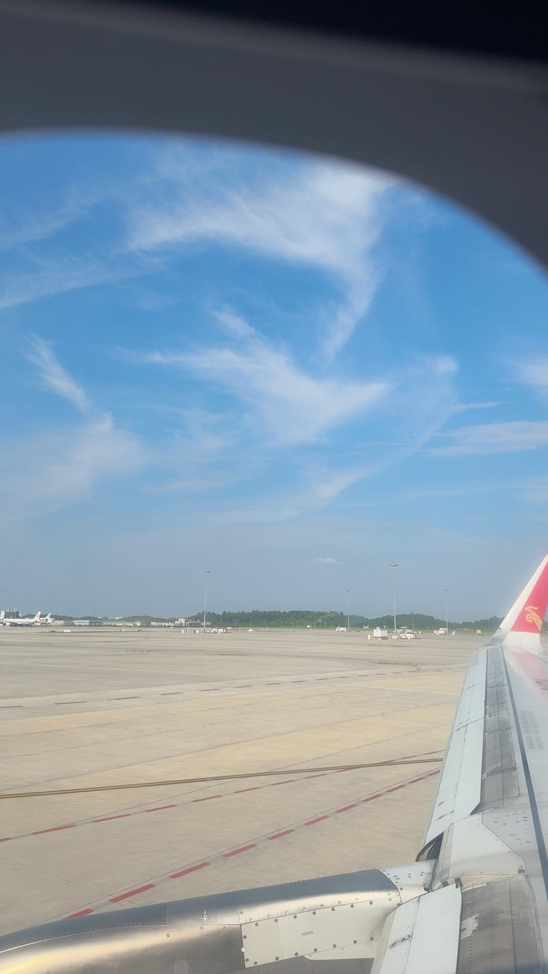 当灾难的阴影笼罩世界，文明的表象褪去，我们或许才能看清自己的本质。

这并非考验