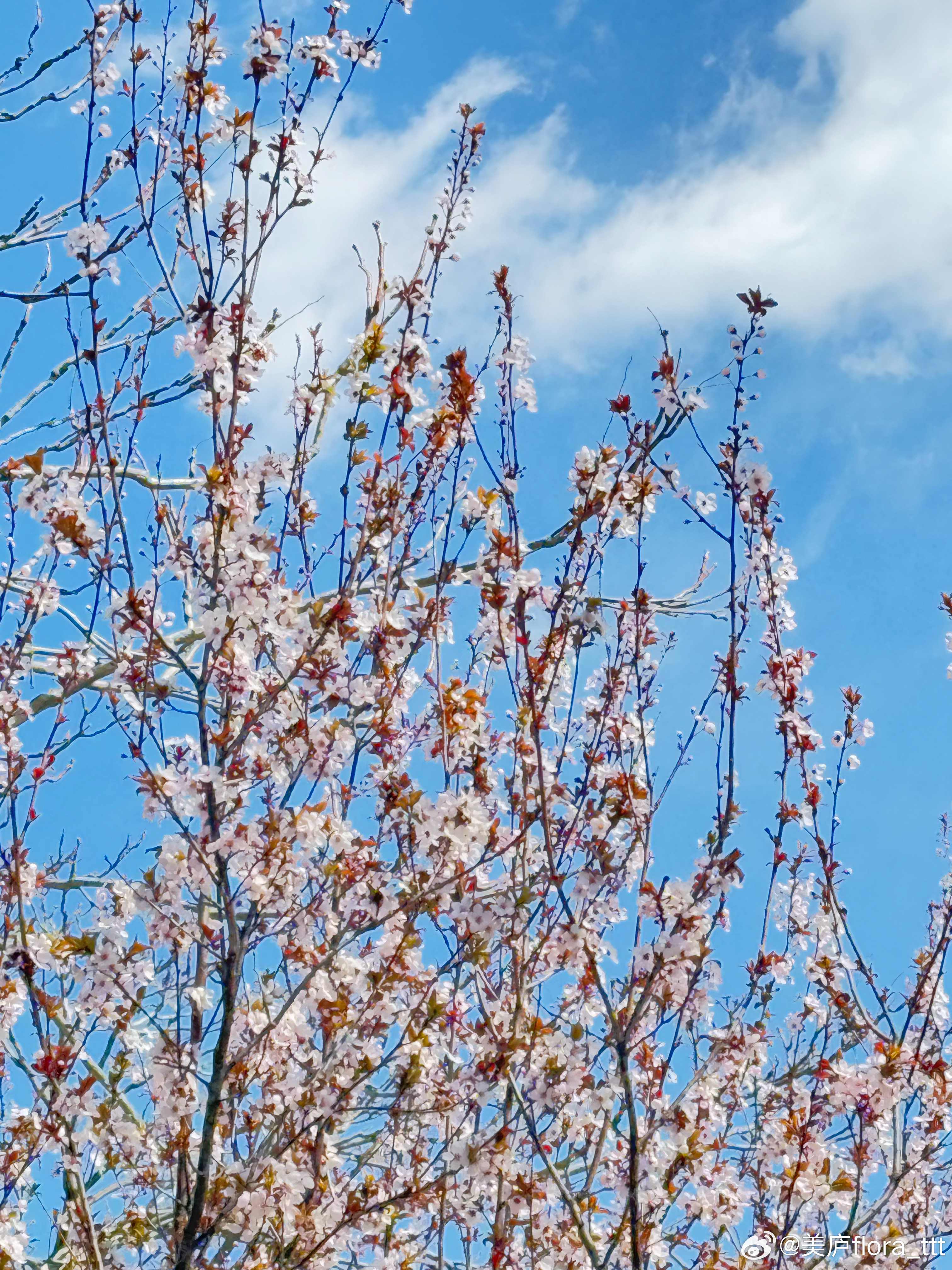 高铁后面座位的姑娘一边哭一边讲微信听了听 是因为看《暗河长明》太入迷了 被小说情