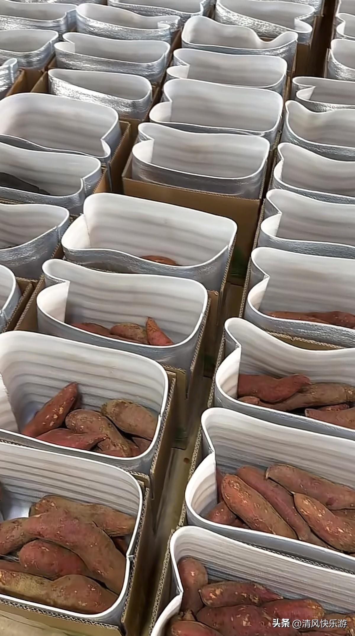 一个人在家做电商到底能挣多少钱？这是大部分新手小白最关心的问题，今天我用我自己的