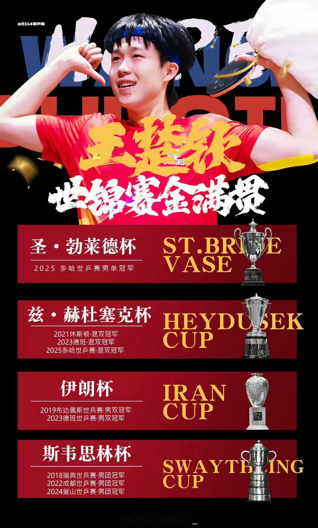 王楚钦🔥🥳请问你是在搜🔍【北大研究生】🎓【世乒赛金满贯】🫰🏻【亚洲杯