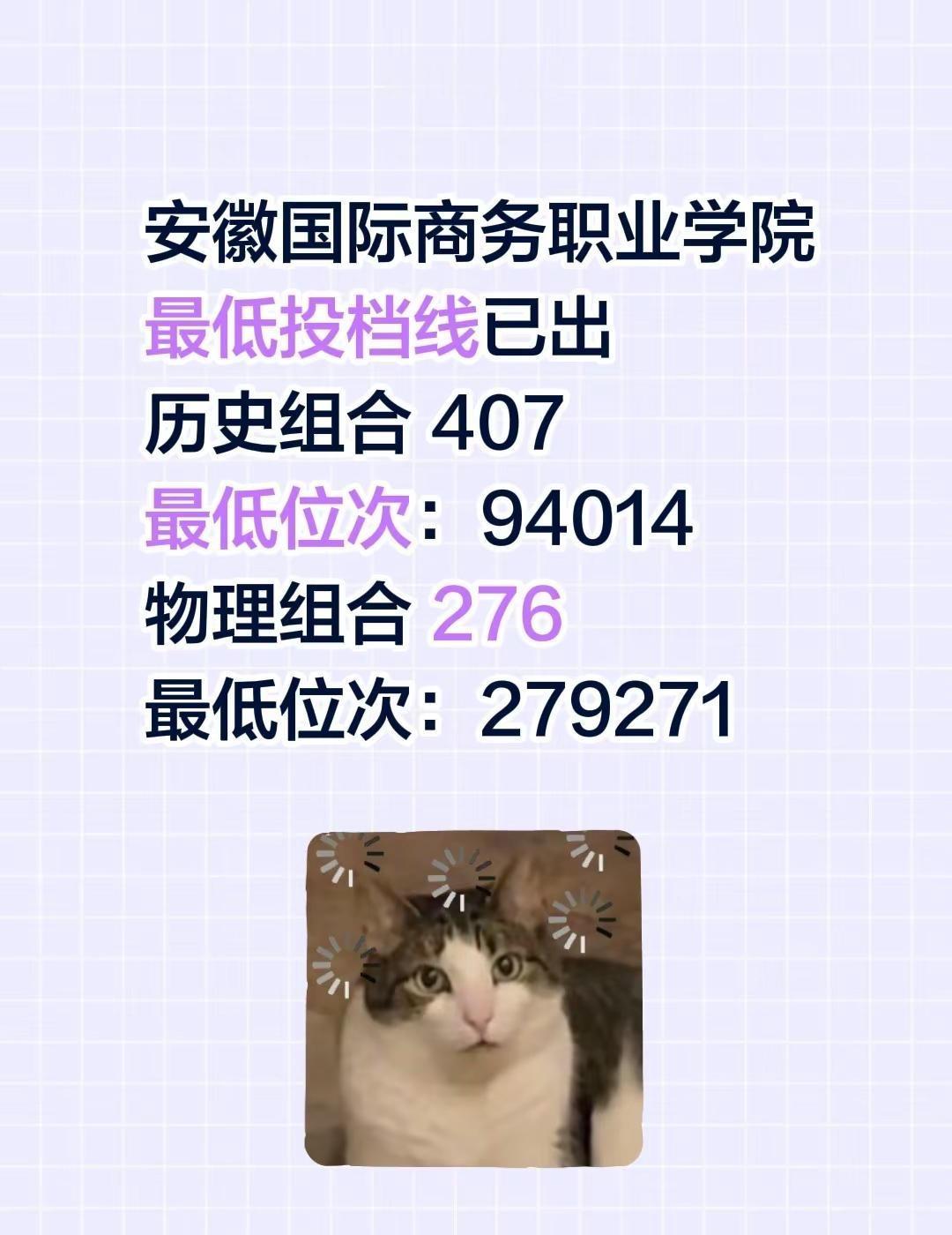 安徽国际商务职业学院最低投档线已出历史组合 407最低位次：94014物理组合 
