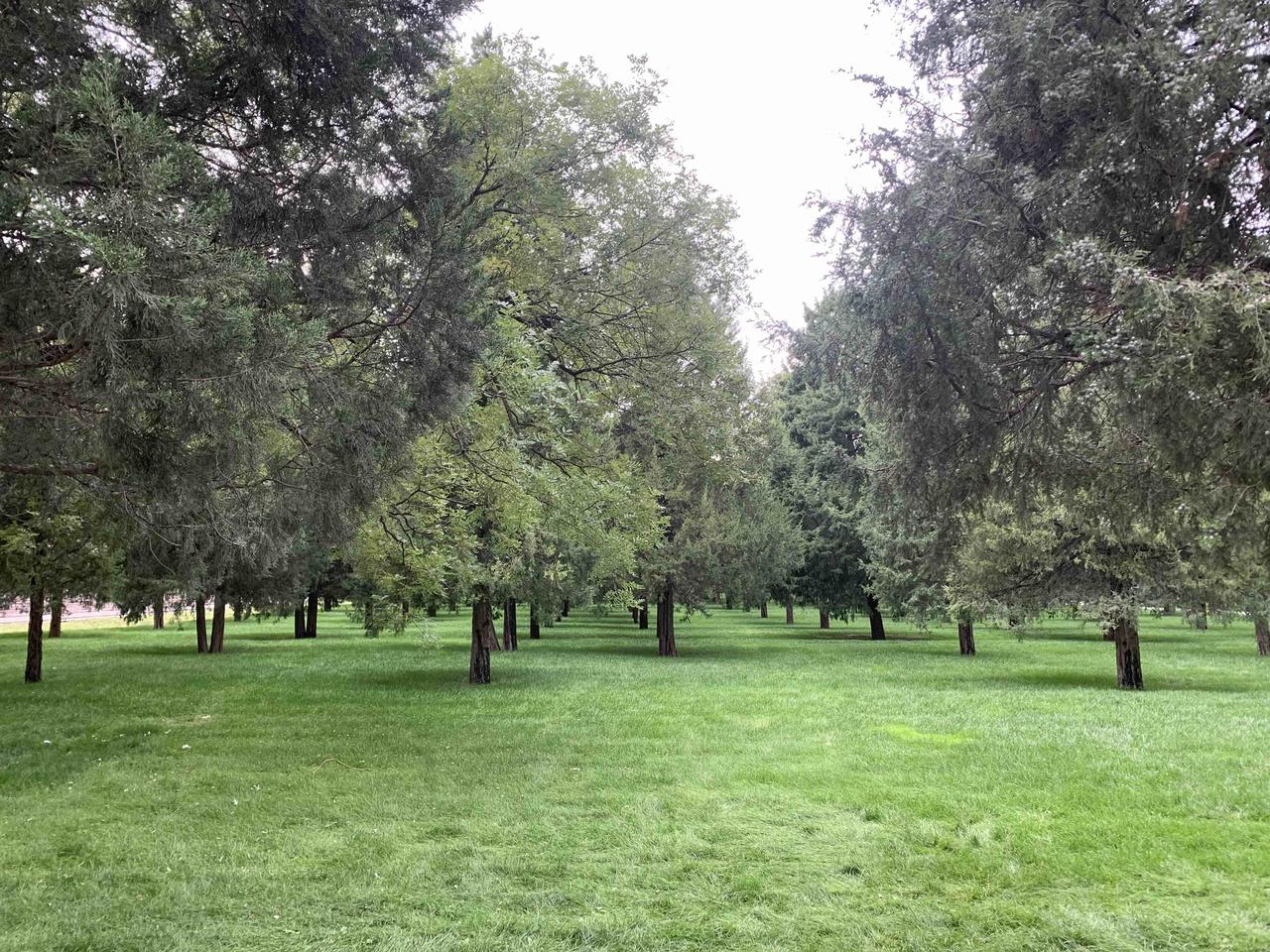 对伤害你的人心软，就是对自己残忍。

你对伤害你的人心软一次，
就是往自己心上再