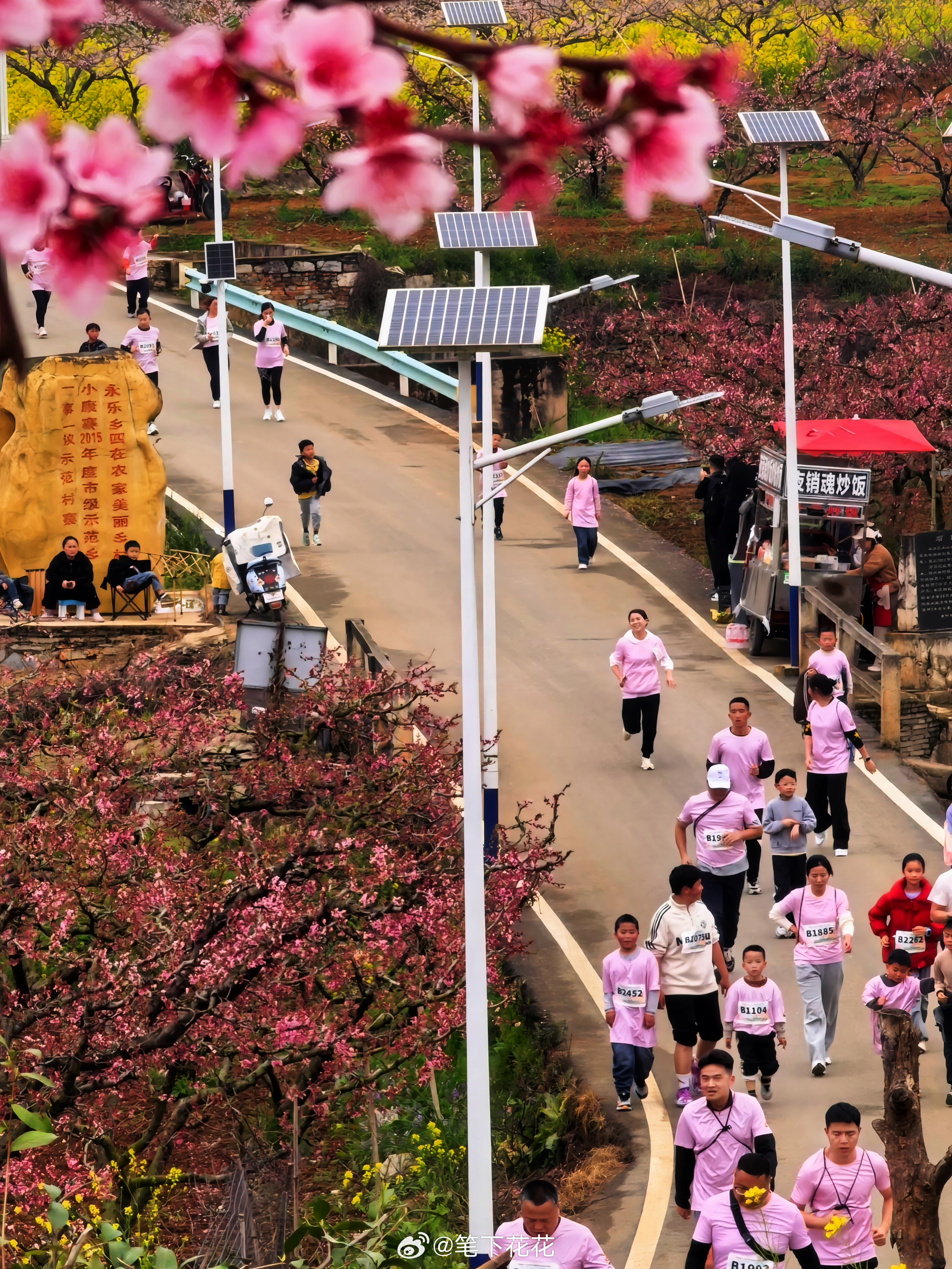 春风拂过万亩桃林，粉浪翻涌，奔跑贵阳·2026第八届南明永乐桃花山地跑如约而至！