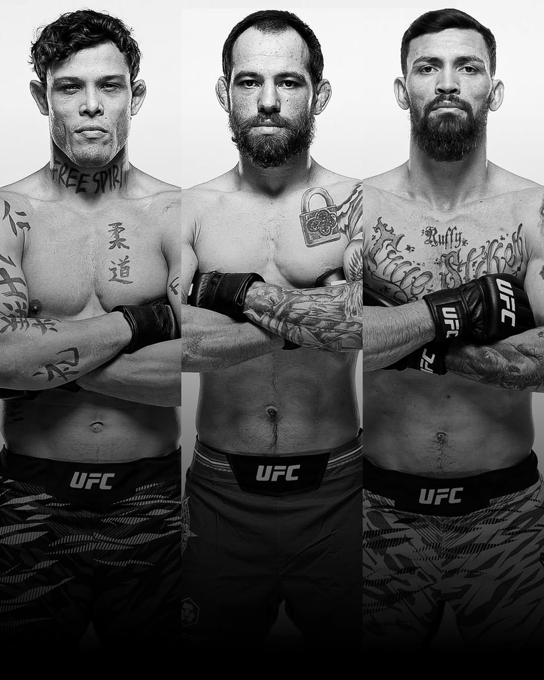 刘海哥转身肘加地面砸拳TKO席尔瓦😳，书呆子团队UFC战绩全员均首败...