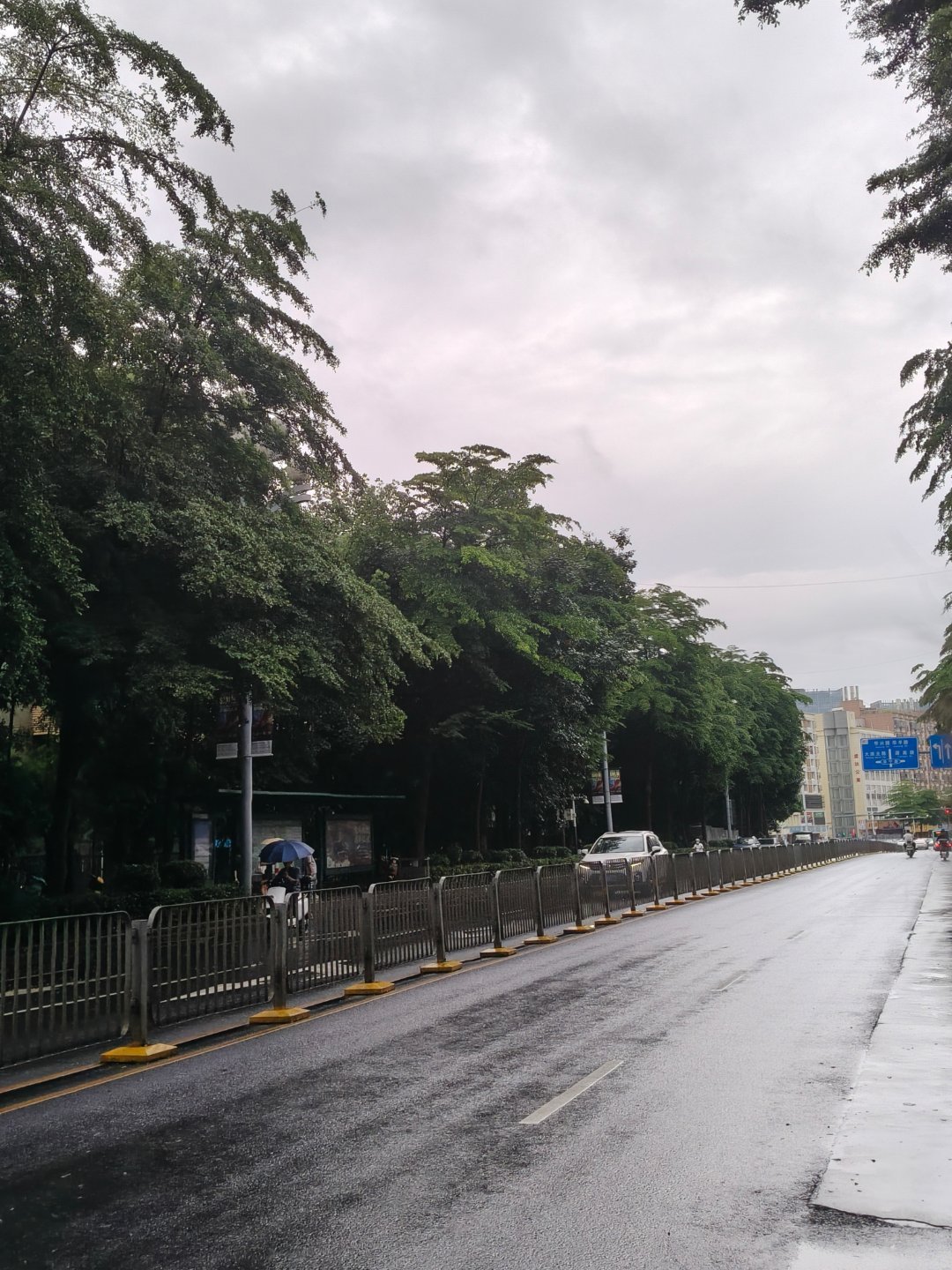 早安呀！今年雨季也多不是在下雨的路上就是在下雨的路上对牛马人真的很不友好 