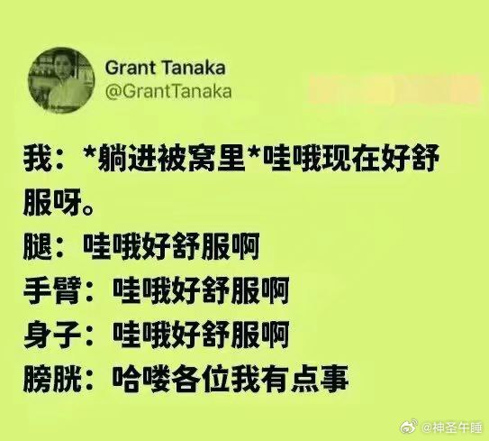 今日份的小破梗，是一个睡觉梗