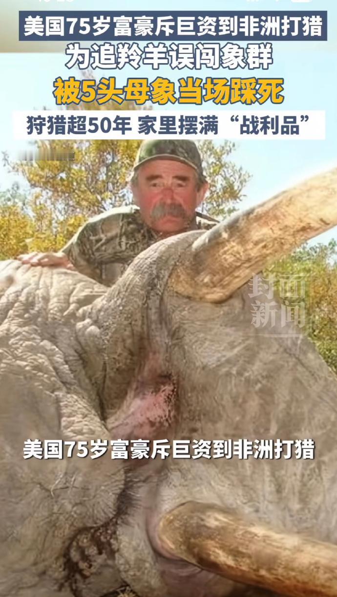 也许这就是报应吧