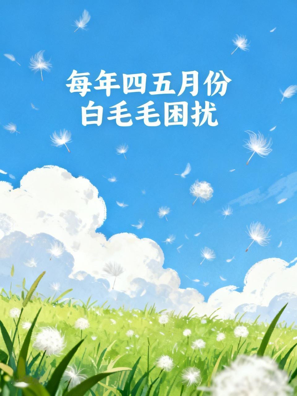 每年到四五月份天上的白毛毛满天飞。不是一个地方，而是很多地方，群众苦不堪言。多少