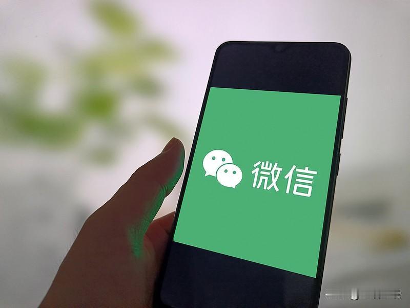 刚才，他看着手机睡着啦，我悄悄从他手机拿走了手机。我看了他的微信，微信有一位美女