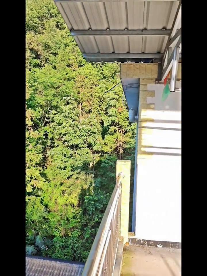 避暑来长阳，农家义国之香。
海拔1100米，避暑正当时。清晨的阳光洒在义国之香的