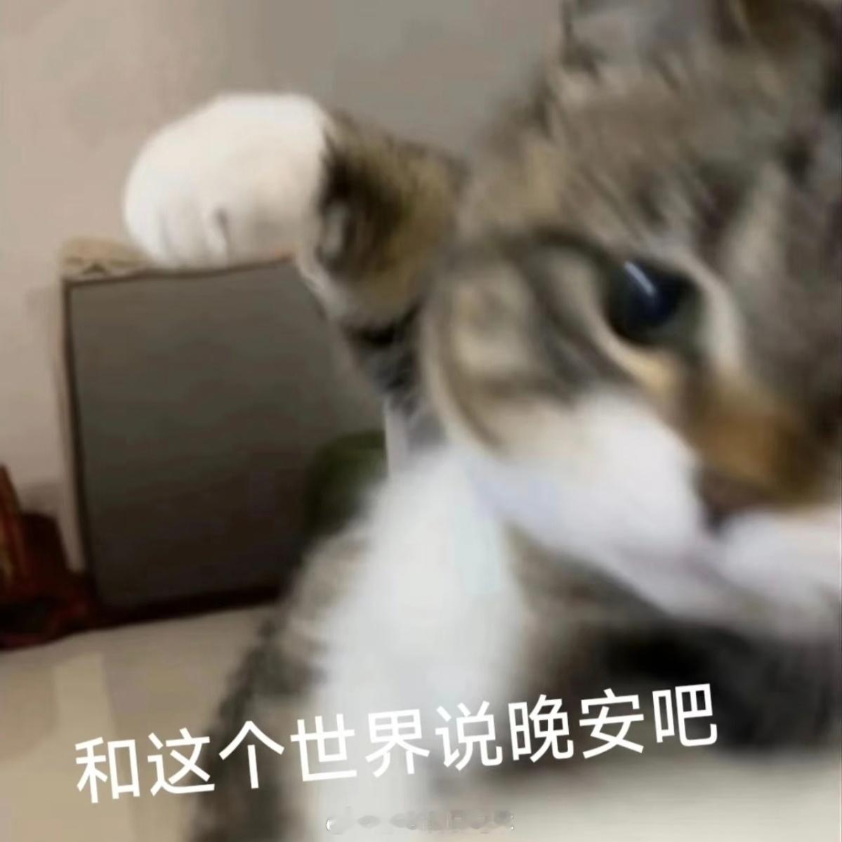 这个处理力度真够狠的，出乎意料：就连副总裁和公关部总经理都要点名批评，准备过年之