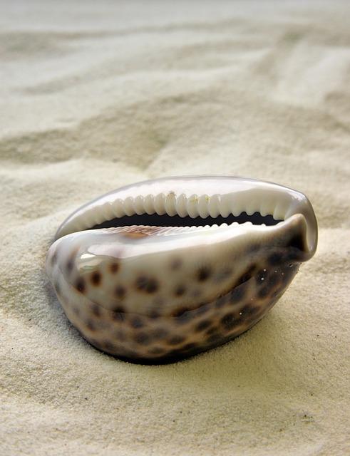 今天是公元2026年4月3日,星期五,农历二月十六.
丙午年 辛卯月 丁未日;喜