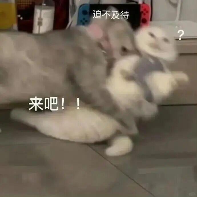想对老公这样，或者老公对我这样