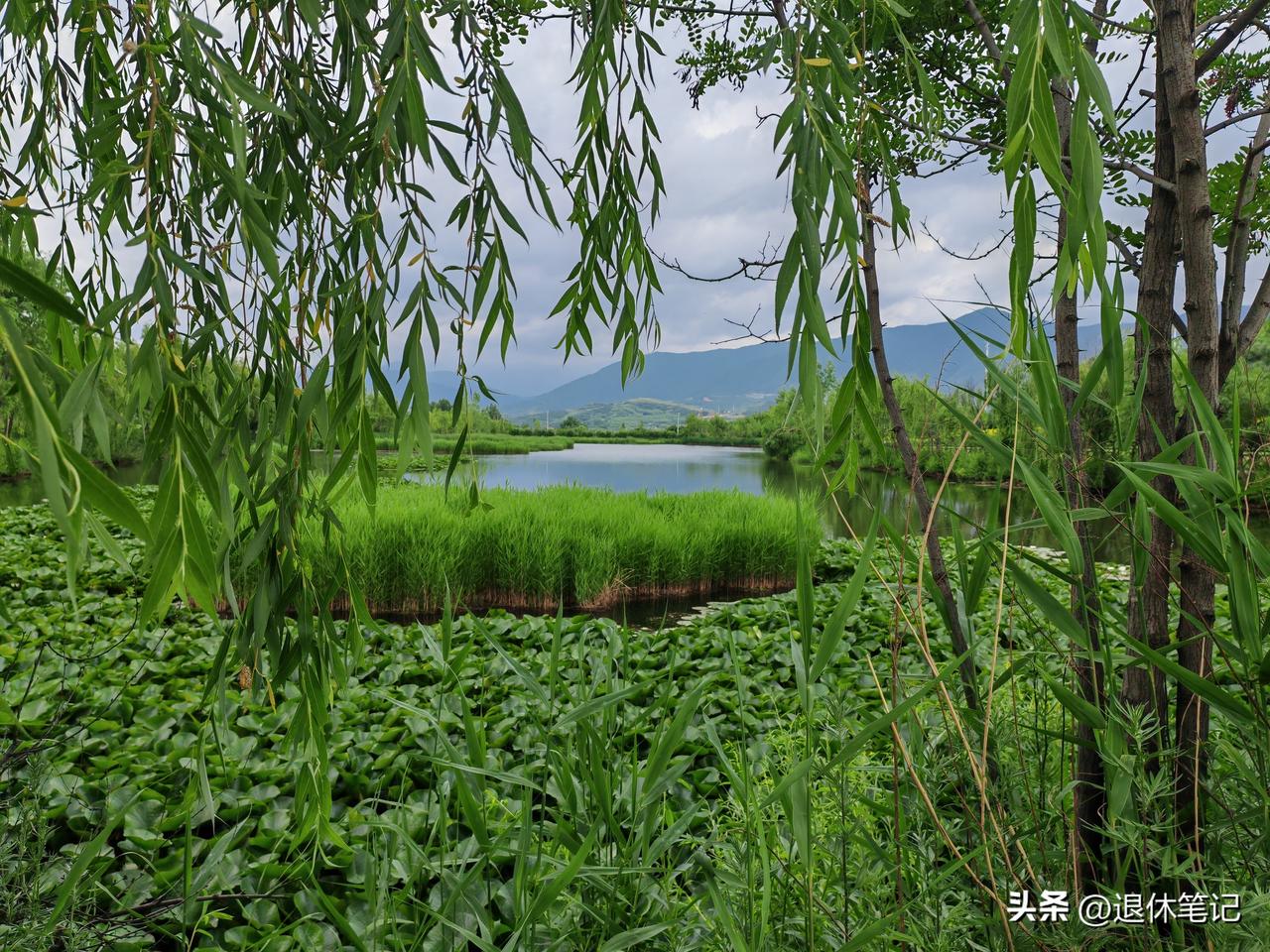 夏日美景随拍夏日美景的随拍，其实我认为这种夏日的美景是值得去追忆的，所以说通过这