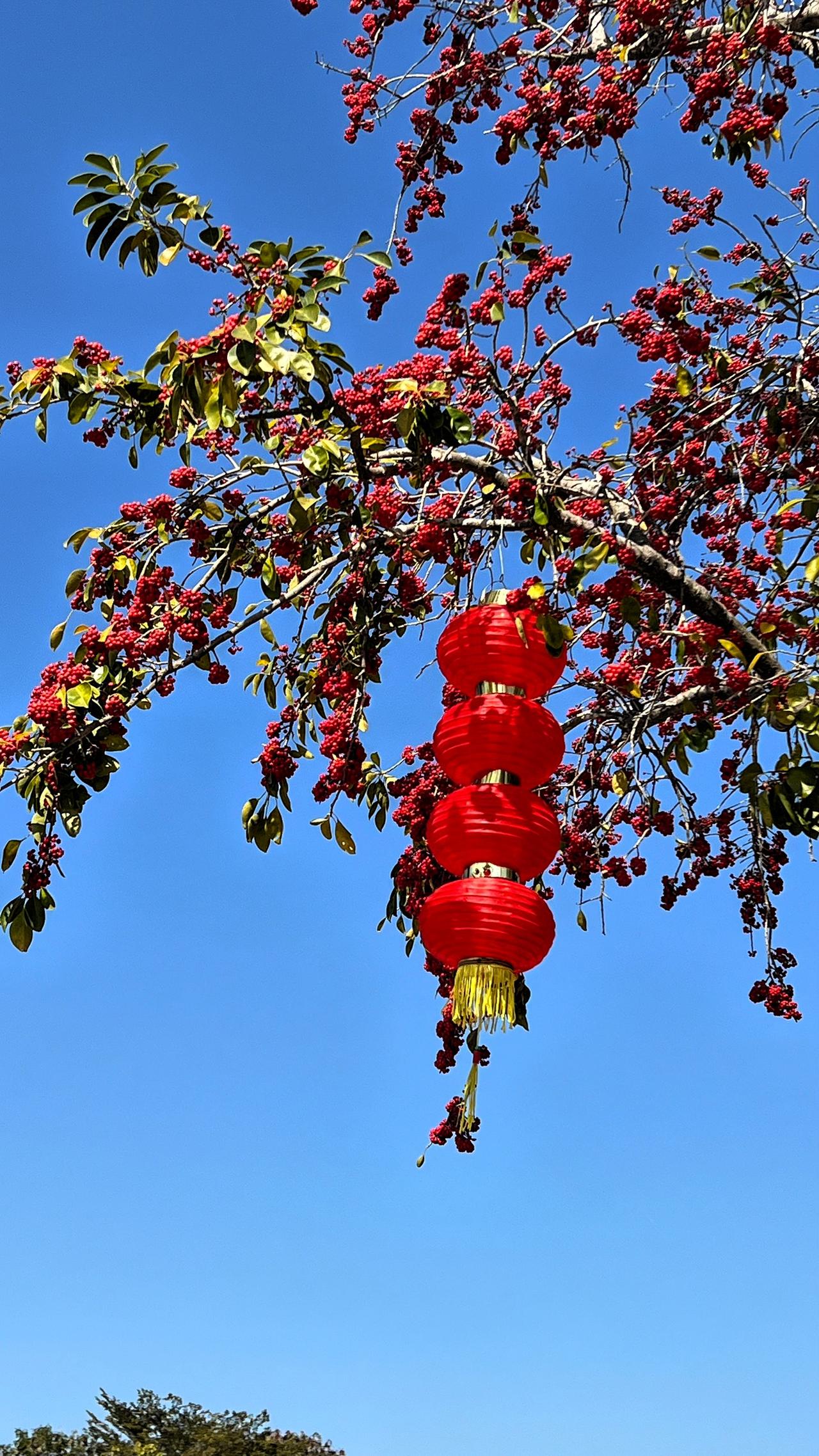 分享今日随手拍的照片