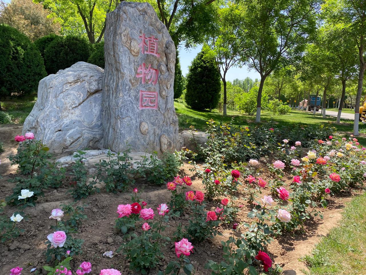 燕郊植物园位于河北省三河市燕郊镇，于2004年3月完成水系、道路、广场、绿化等的