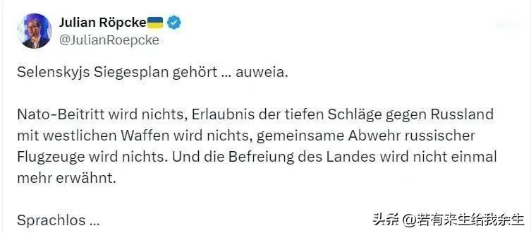 🇩🇪 德国《图片报》军事分析家朱利安·罗普克(Julian Ropke)对"