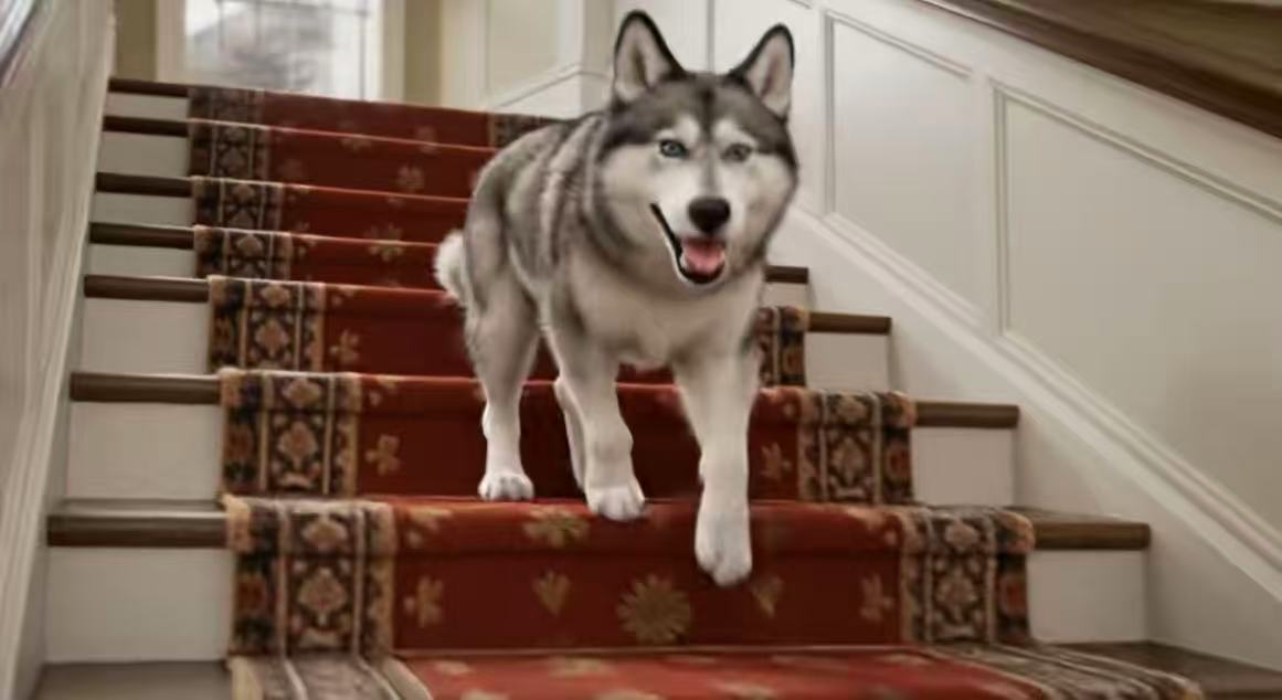 匿名AI视频模型 “欢乐马” 登顶评测榜，前千问负责人林俊旸