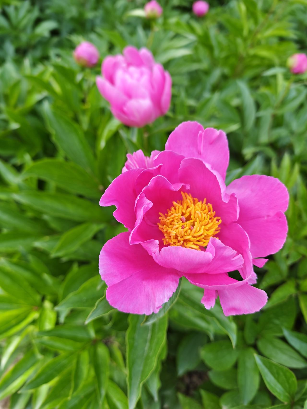 形成规范不难，但要做到人人遵守，己是不易。而企业文化建设要塑造统一的做事习惯，其