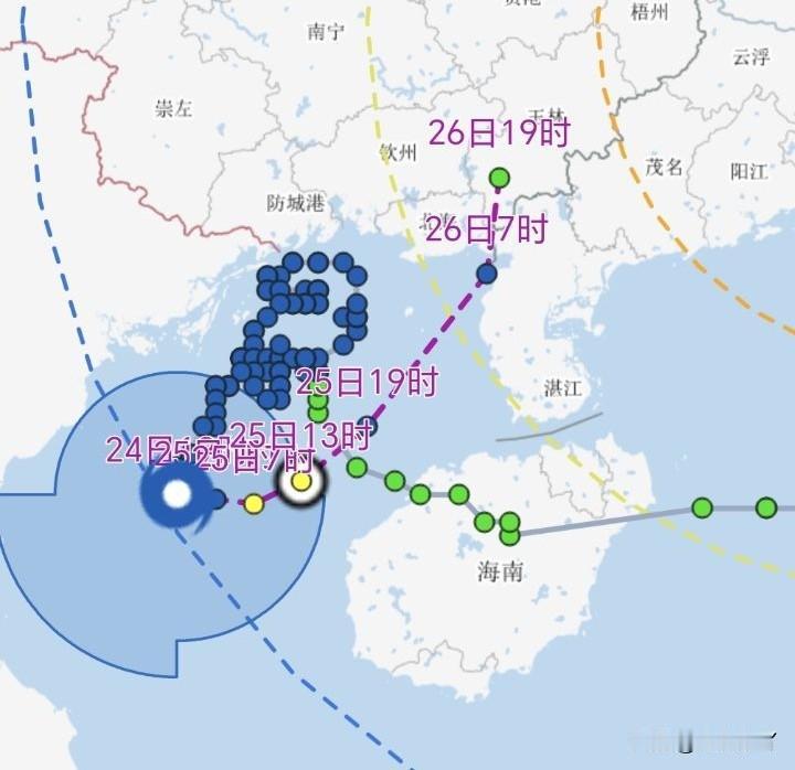 今年的台风都癫癫的
这个紫檀在海上转了好几天，现在看路线，极有可能是在广东登录。