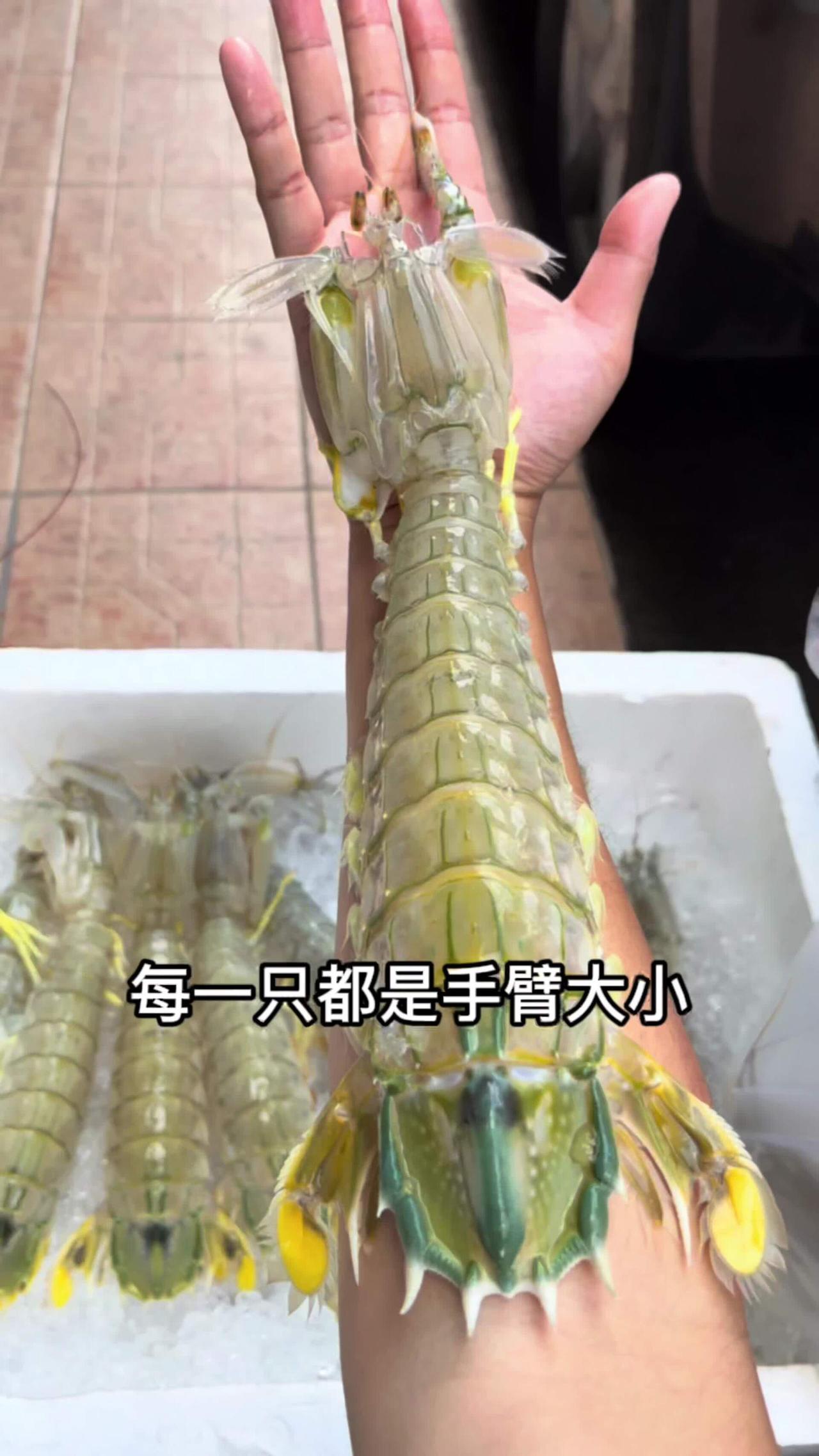 节奏切莫被带偏，
明码标价责无端；
泰国濑尿虾体大，
一只几百实不怨。

饕餮美