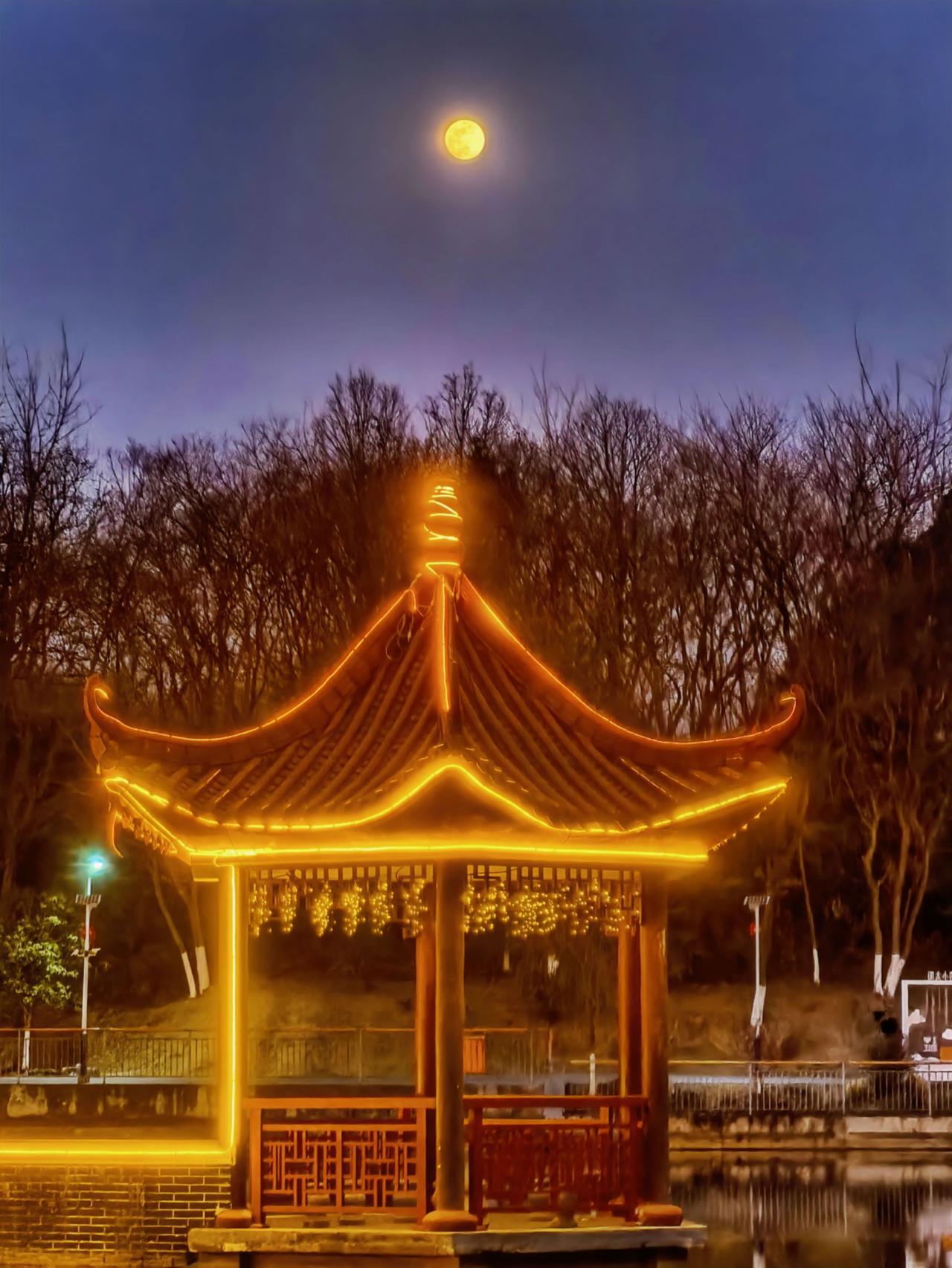 月亮高挂天空