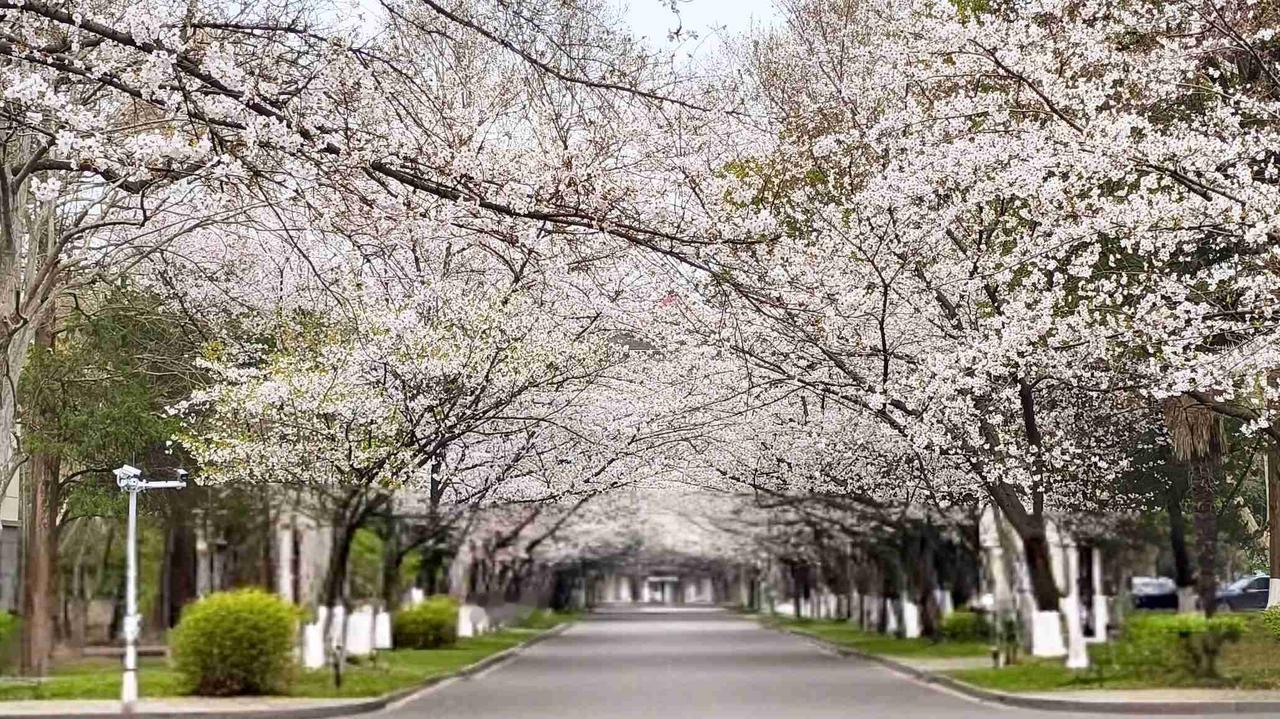 我的今日状态：😁轻松愉快
我这里的天气：☀️晴天
