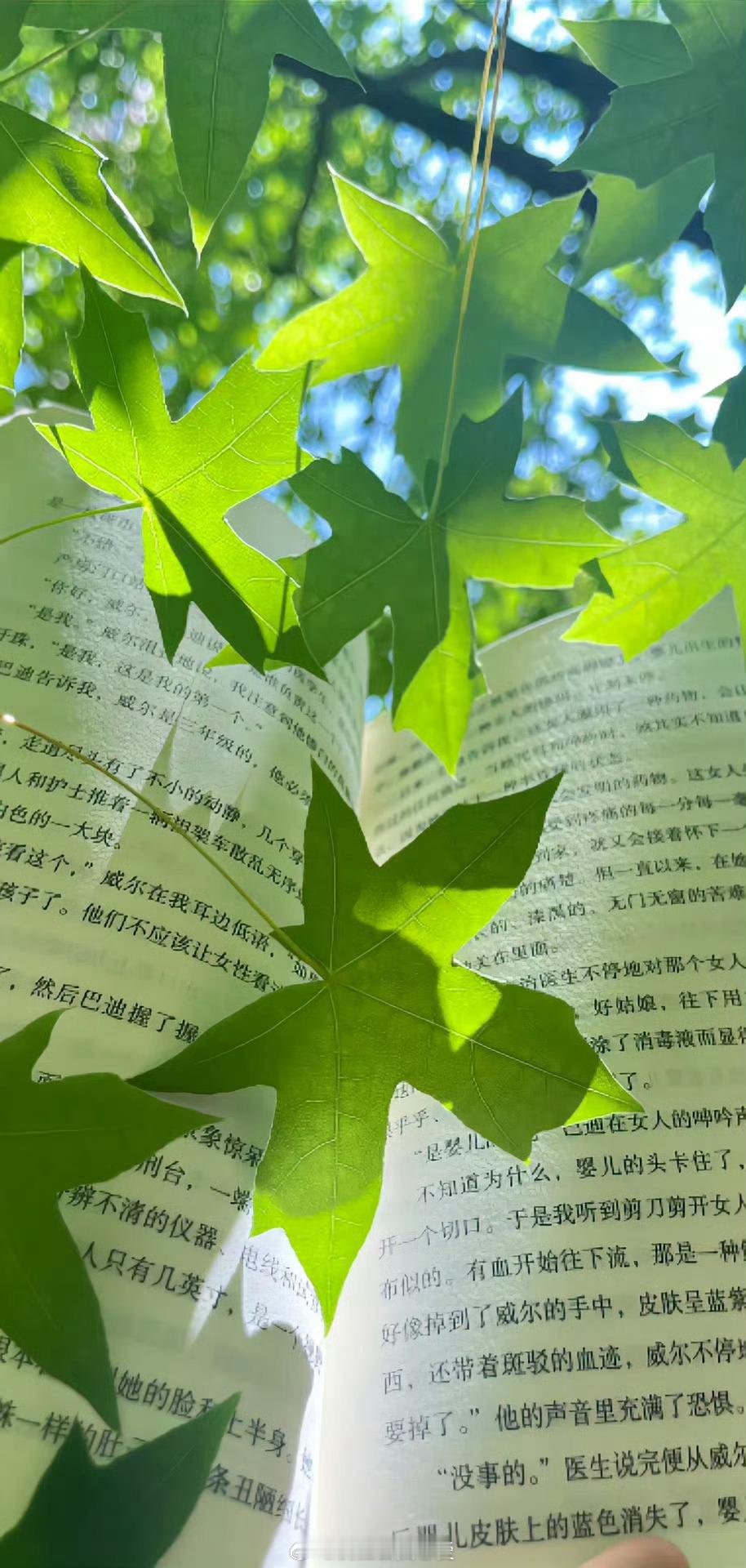 阳光信用  🍊阳光信用 🍊阳光信用斗志和干劲很重要，但更重要的，是不断坚持的