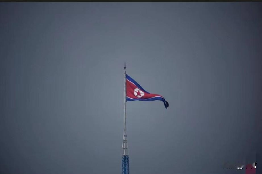 半岛危机升级！朝中社发3800多字评论痛批，韩美首脑《联合情况说明书》就推进核潜