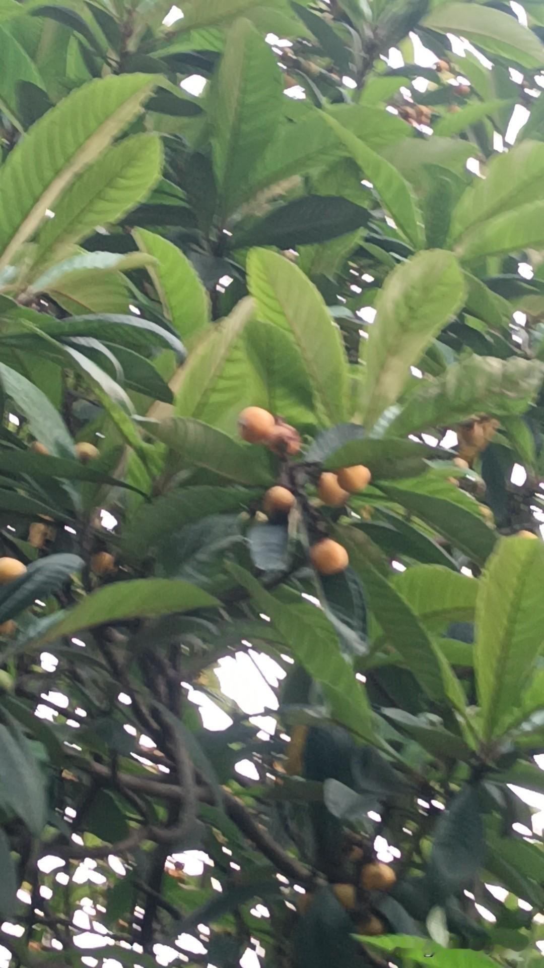 不知道大家发现没有，大A股市近期生态环境发生了一个新变化呢？

这个变化对广大股