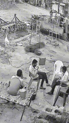 印度人养的牛咋跟中国的牛不一样？