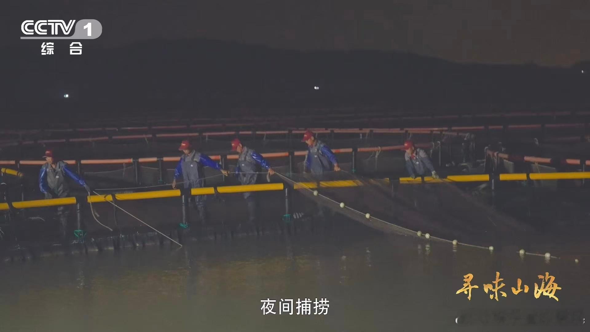 大黄鱼在四大海产中地位超稳，肉质鲜嫩，毫无腥味。它哼唧哼唧的声音，源自鱼鳔的挤压